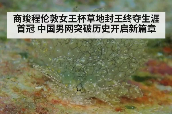 商竣程伦敦女王杯草地封王终夺生涯首冠 中国男网突破历史开启新篇章
