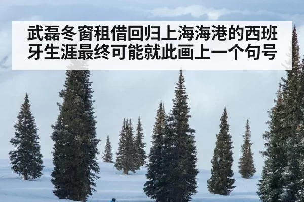武磊冬窗租借回归上海海港的西班牙生涯最终可能就此画上一个句号